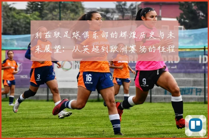 利兹联足球俱乐部的辉煌历史与未来展望：从英超到欧洲赛场的征程与挑战