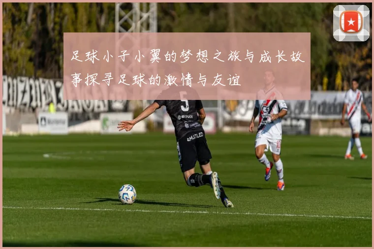 足球小子小翼的梦想之旅与成长故事探寻足球的激情与友谊