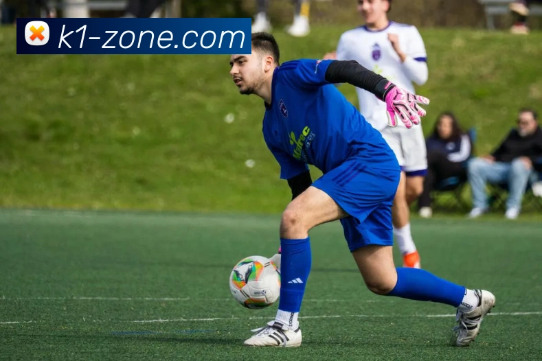 k1平台APP 封面图